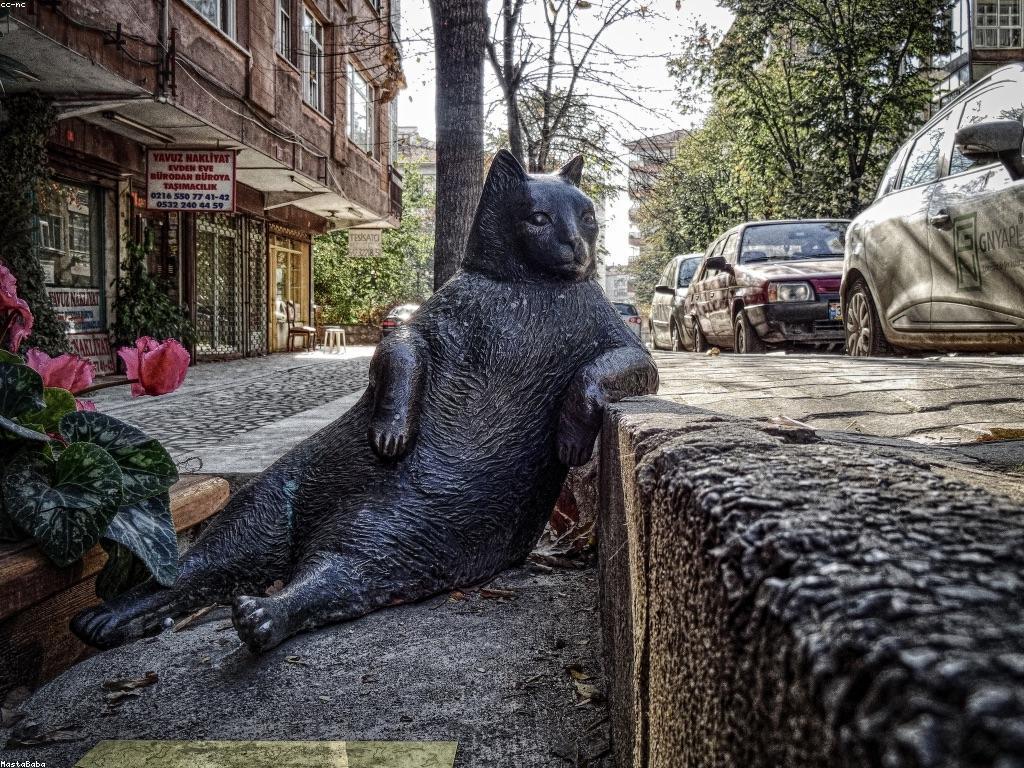 វិធីសាស្ត្រ និងយុទ្ធសាស្ត្រ សម្រាប់ភាពជោគជ័យ