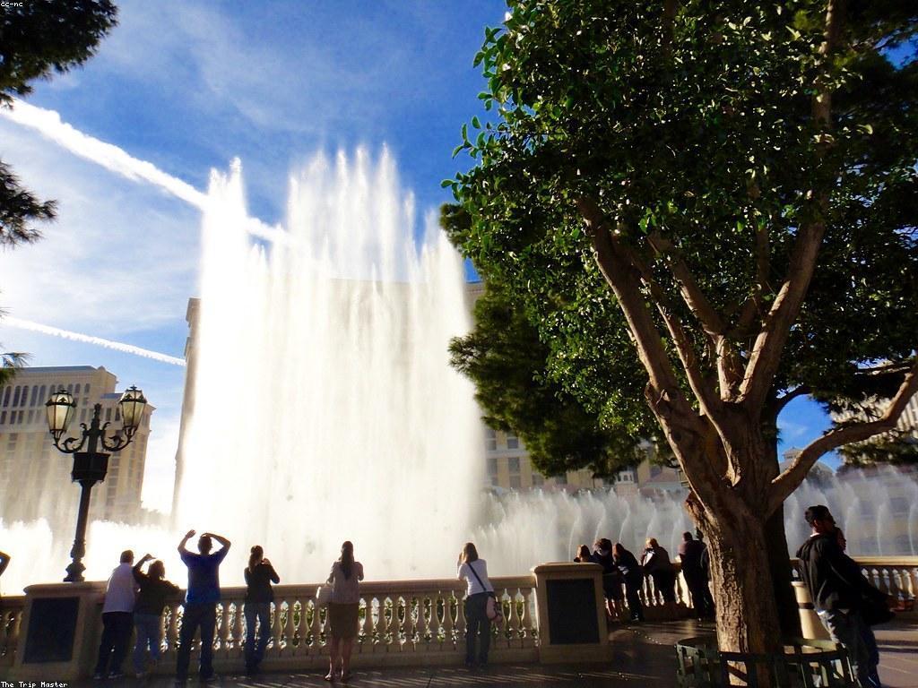 ព័ត៌មានអំពីកាស៊ីណូ Slot